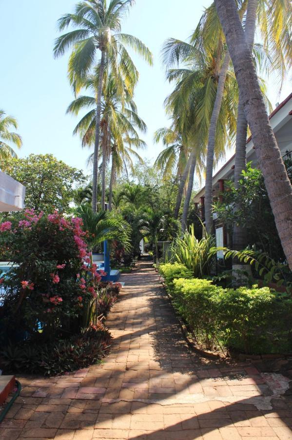Hotel Albatros Puerto Escondido  Bagian luar foto