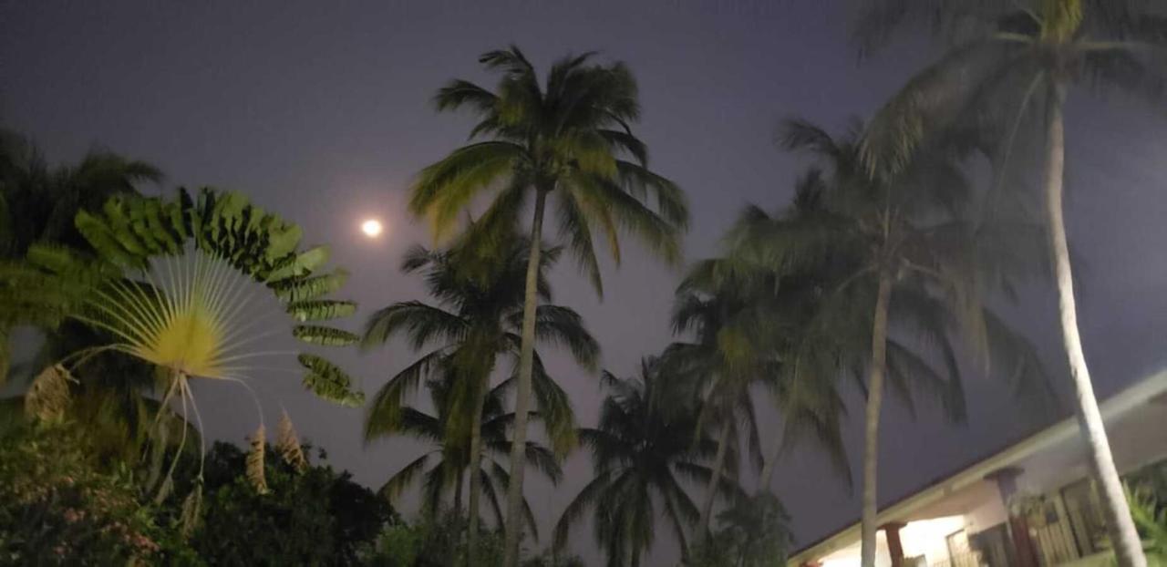 Hotel Albatros Puerto Escondido  Bagian luar foto